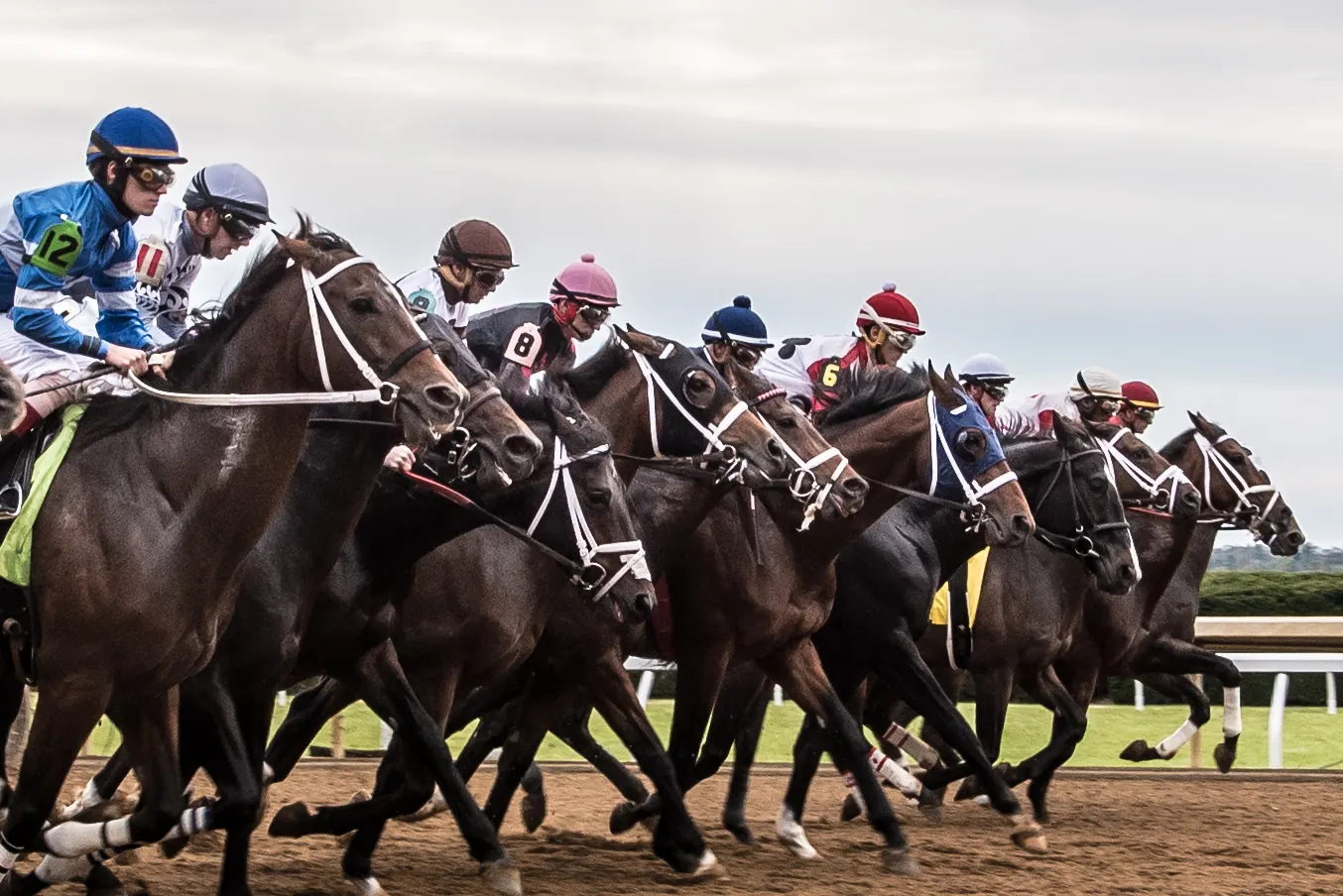 Caballos en plena carrera en un hipódromo