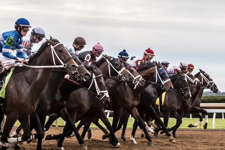 Caballos en plena carrera en un hipódromo